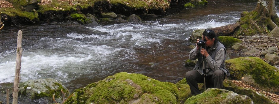 P4240084.JPG